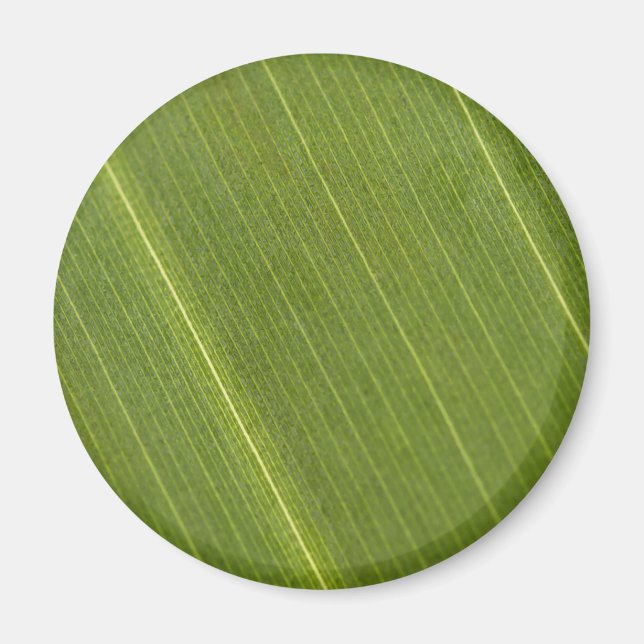 Imã Palm Tree Leaf (Frente)