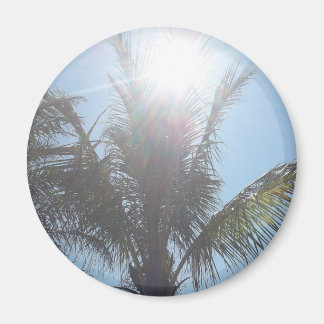 Imã Palm Tree Summer Day