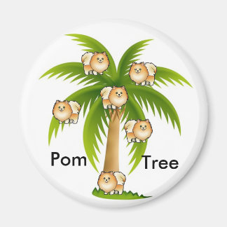 Imã Palm Tree with Pomeranians