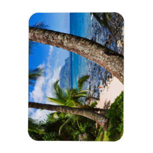 Ímã Palm Trees Ao Longo Da Praia De Hideaways