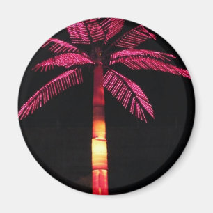 Imã Palma elétrica