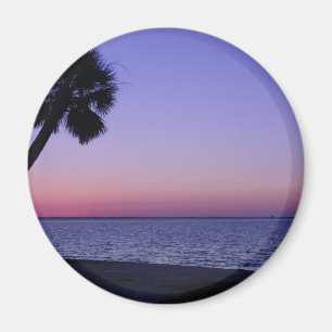 Imã Palma      solitária no roxo