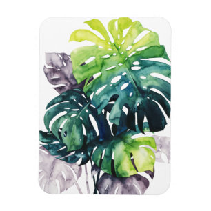 Ímã Palmas de Twilight - Folha Dividida