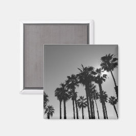 Imã Palmas do Oceano de Verão - Fotografia Branca e Pr