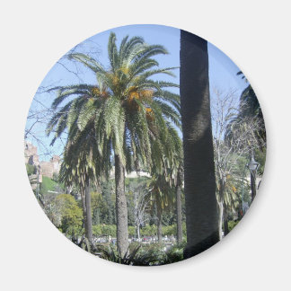 Imã Palmas em Málaga