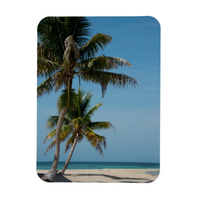 Ímã Palmeira e praia de areia branca (Vertical)