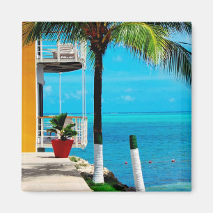 Imã Palmeira no jardim da frente de uma casa pelo mar