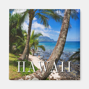 Imã Palmeiras ao longo da praia de Hideaways