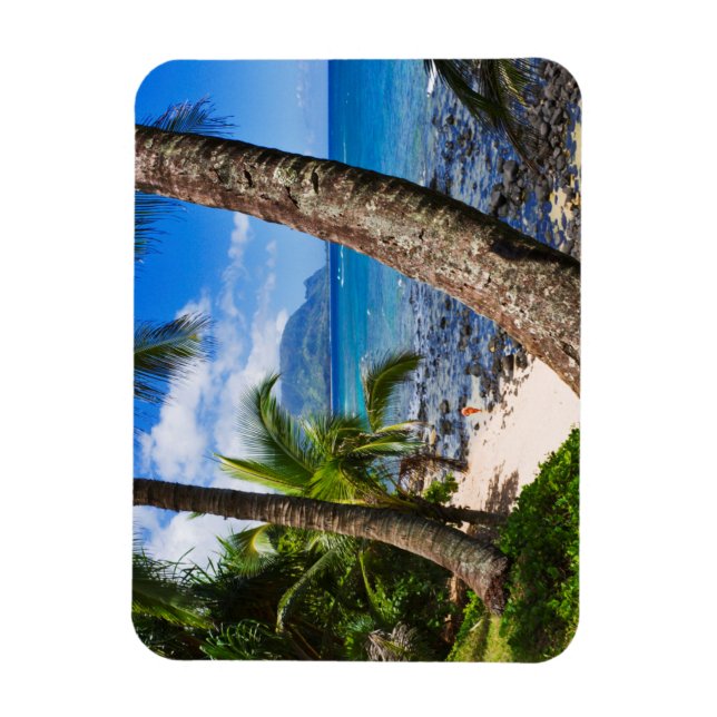 Ímã Palmeiras ao longo da Praia Hideaways (Vertical)