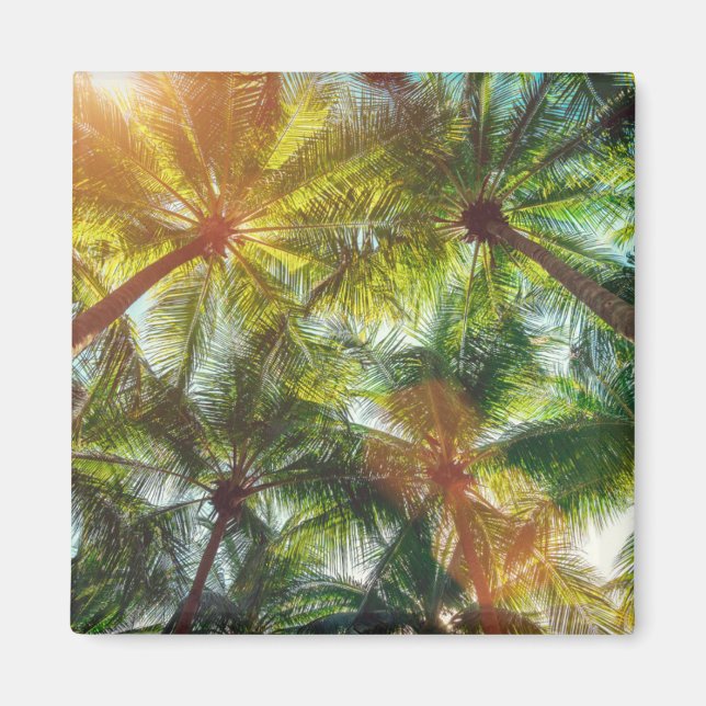 Imã Palmeiras de coco na praia (Frente)