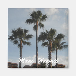 Imã Palmeiras de Maui Havaí