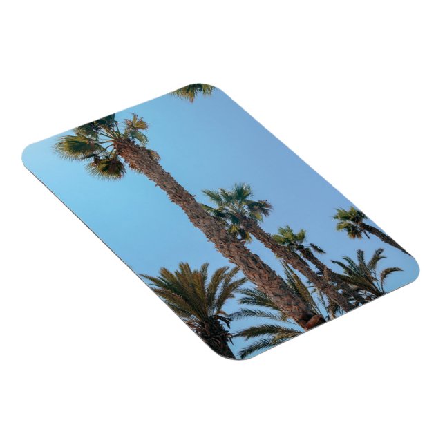 Ímã Palmeiras de Verão (Lado Direito)