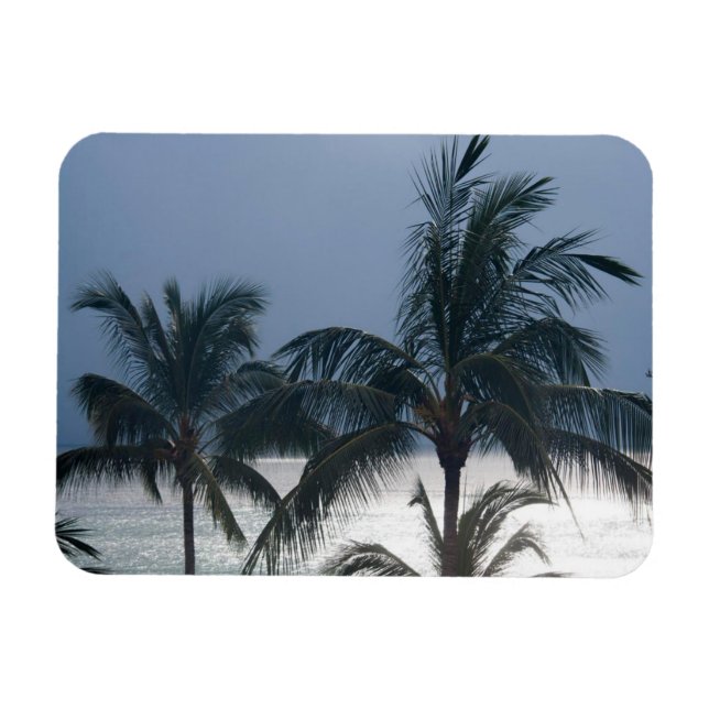 Ímã Palmeiras Na Praia (Horizontal)