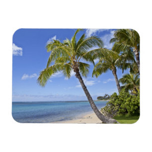 Ímã Palmeiras na praia do Havaí.