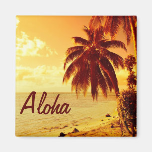Imã Palmeiras tropicais no ímã do por do sol Aloha