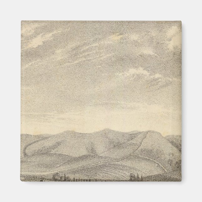 Imã Palmer res, vinha (Frente)