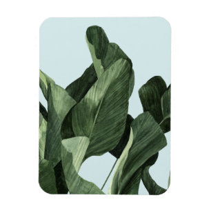 Ímã Palms Celadon