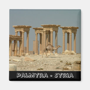 Imã Palmyra, tesouros da Síria nº 3 (Imã de geladei