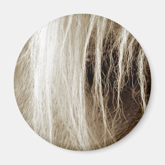 Imã Palomino na Sépia (Frente)