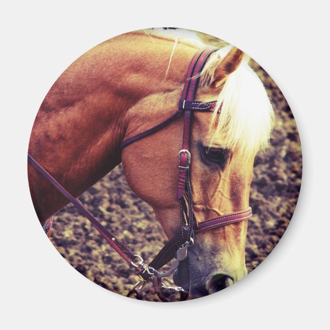 Imã Palomino Ocidental (Frente)