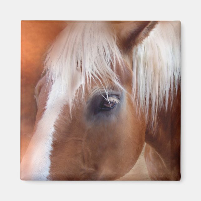 Imã Palomino Retrato Magnet (Frente)