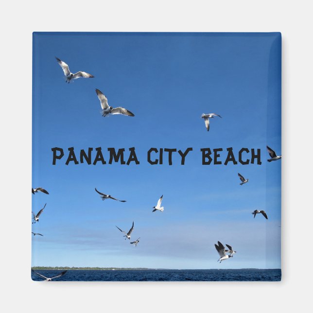 IMÃ PANAMA CITY MAGNET (Frente)
