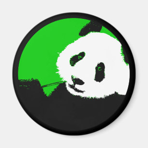 Imã panda.