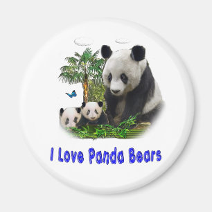 Imã Panda Bears