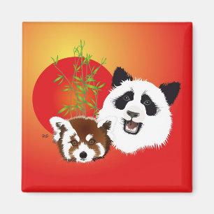 Imã Panda encontro íman