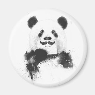 Imã Panda engraçada