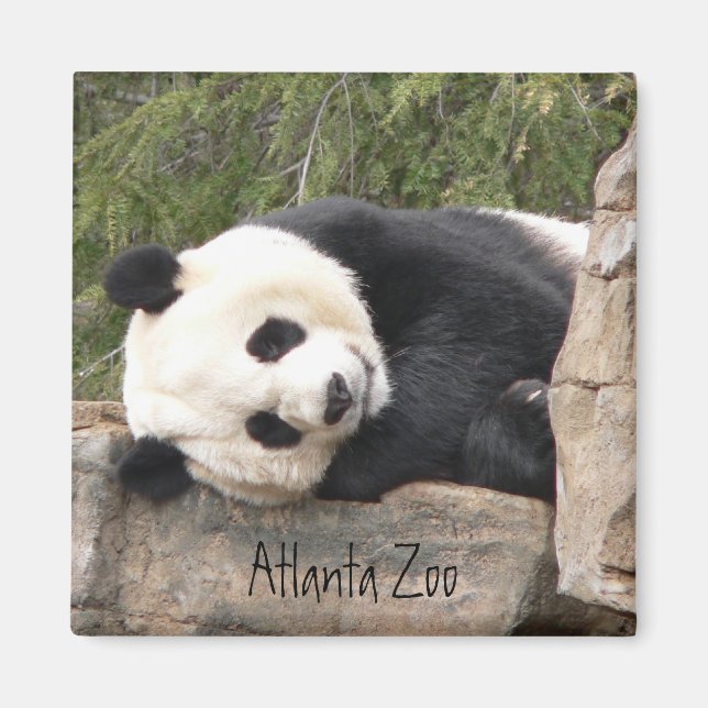 Imã Panda Magnet (Frente)