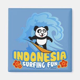 Imã Panda surfando de Indonésia
