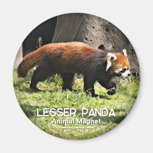 Imã Panda-vermelho