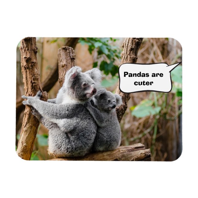 Ímã Pandas ou Koalas - Quais são mais fofos? (Horizontal)