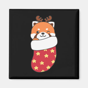 Imã Pandas Vermelhas Bonitas Em Meias De Natal Para O