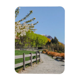 Ímã - pano de fundo do pico de Walter