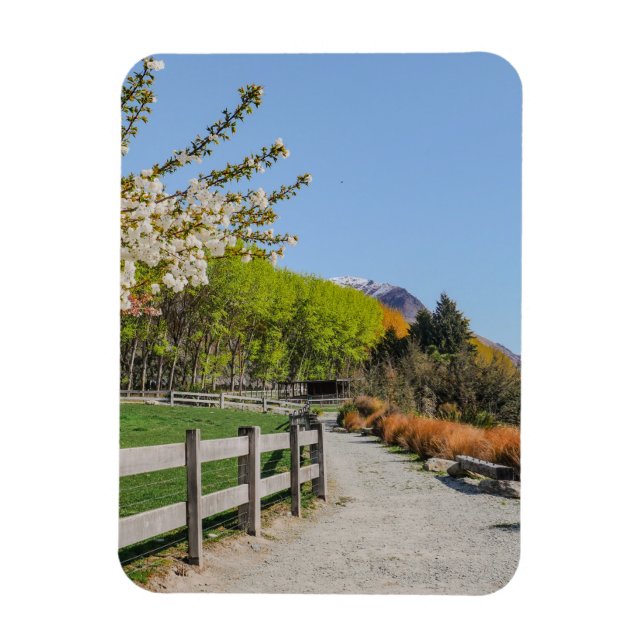 Ímã - pano de fundo do pico de Walter (Vertical)