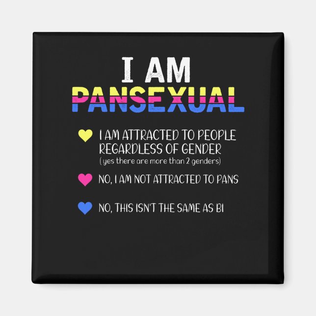 Imã Pansexual Orgulho LGBT Direitos Iguais (Frente)