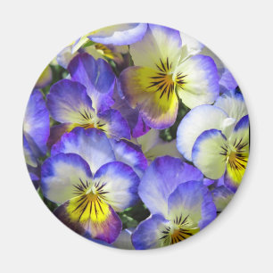 Imã Pansies do canto - ímã