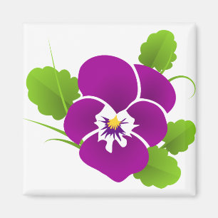Imã Pansy