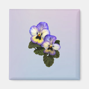 Imã Pansy Duo
