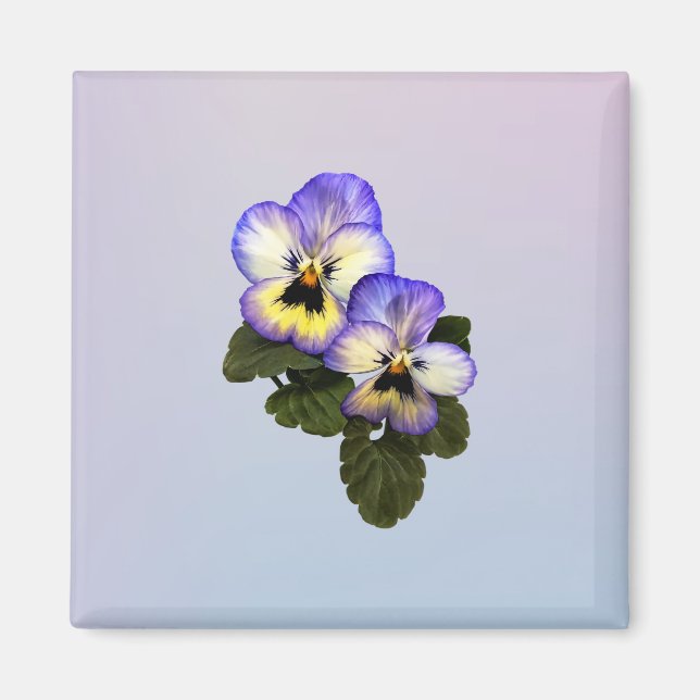 Imã Pansy Duo (Frente)
