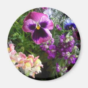 Imã Pansy e amigos Magnet