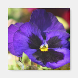 Imã Pansy Flower Magnet