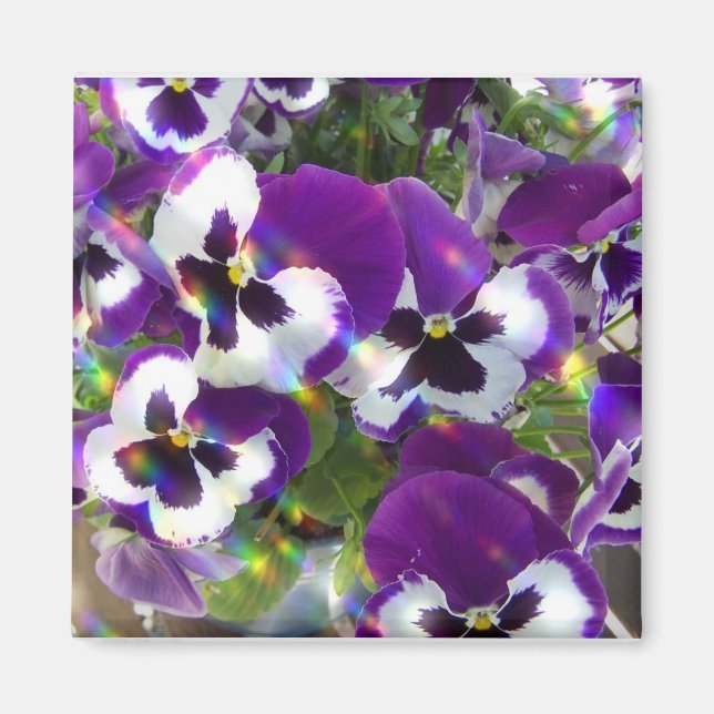 Imã Pansy Square Magnet (Frente)