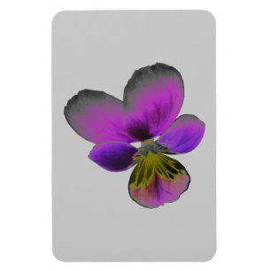 Ímã Pansy Wild Dark Purple Premium Magnet