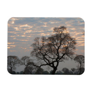 Ímã Pantanal Wetlands   América do Sul, Brasil