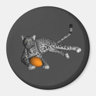 Imã Pantera de futebol