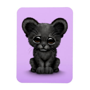 Ímã Pantera preta Cub do bebê bonito no roxo