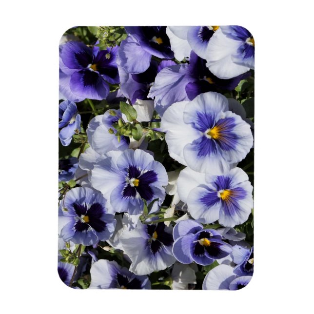 Ímã Panteras Roxas (Vertical)